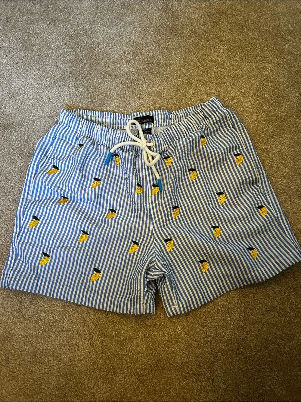 Striped Blue Lemon Italian Embroidered Men's Swim Trunks